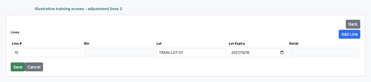 Illustrative training screen: Inventory adjustment line grid Bin lot expiry and serial columns