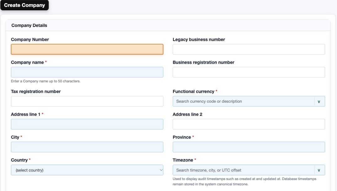 Application screen: company details before saving.