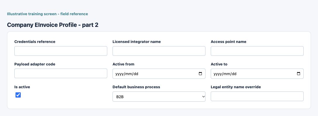 Illustrative training screen: Company E-Invoice Profile Additional Company E-Invoice Profile fields