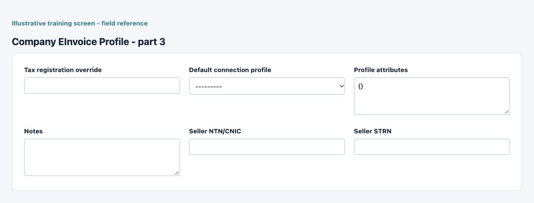 Illustrative training screen: Company E-Invoice Profile Additional Company E-Invoice Profile fields