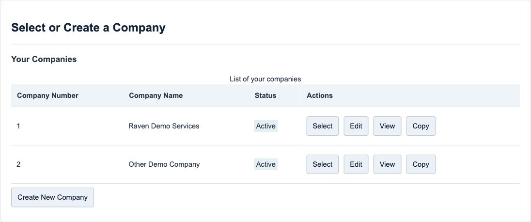 Figure 1. Illustrative training screen: company identity, status and Select, Edit, View, Copy and Create New Company controls.