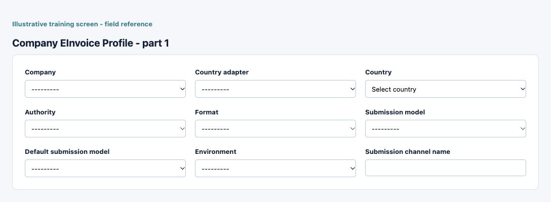 Illustrative training screen: Company E-Invoice Profile